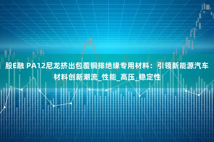 股E融 PA12尼龙挤出包覆铜排绝缘专用材料：引领新能源汽车材料创新潮流_性能_高压_稳定性