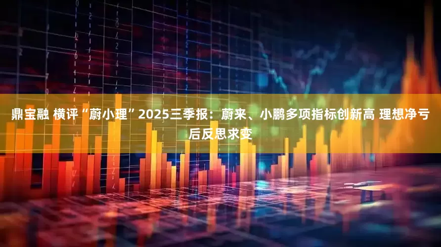 鼎宝融 横评“蔚小理”2025三季报：蔚来、小鹏多项指标创新高 理想净亏后反思求变