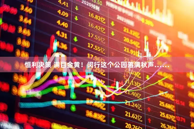 恒利决策 满目金黄！闵行这个公园落满秋声……